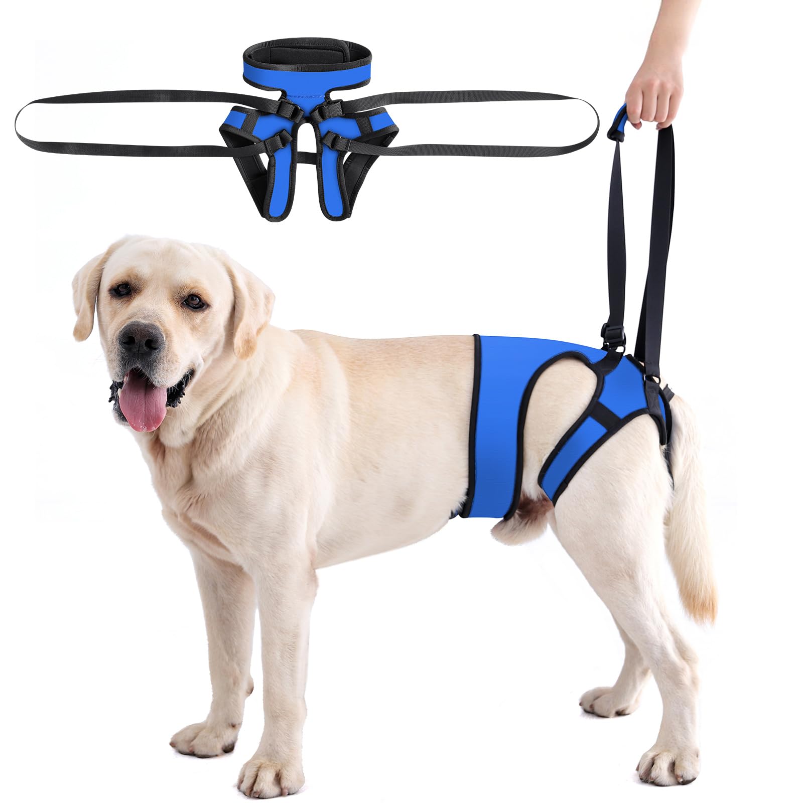 Photo 1 of LIANZIMAU Dog Sling for Large Dogs Adjustable Hind Leg Support Lift Harness Senior Canine Mobility Aid Carrier for Back Legs Walking Rehabilitation