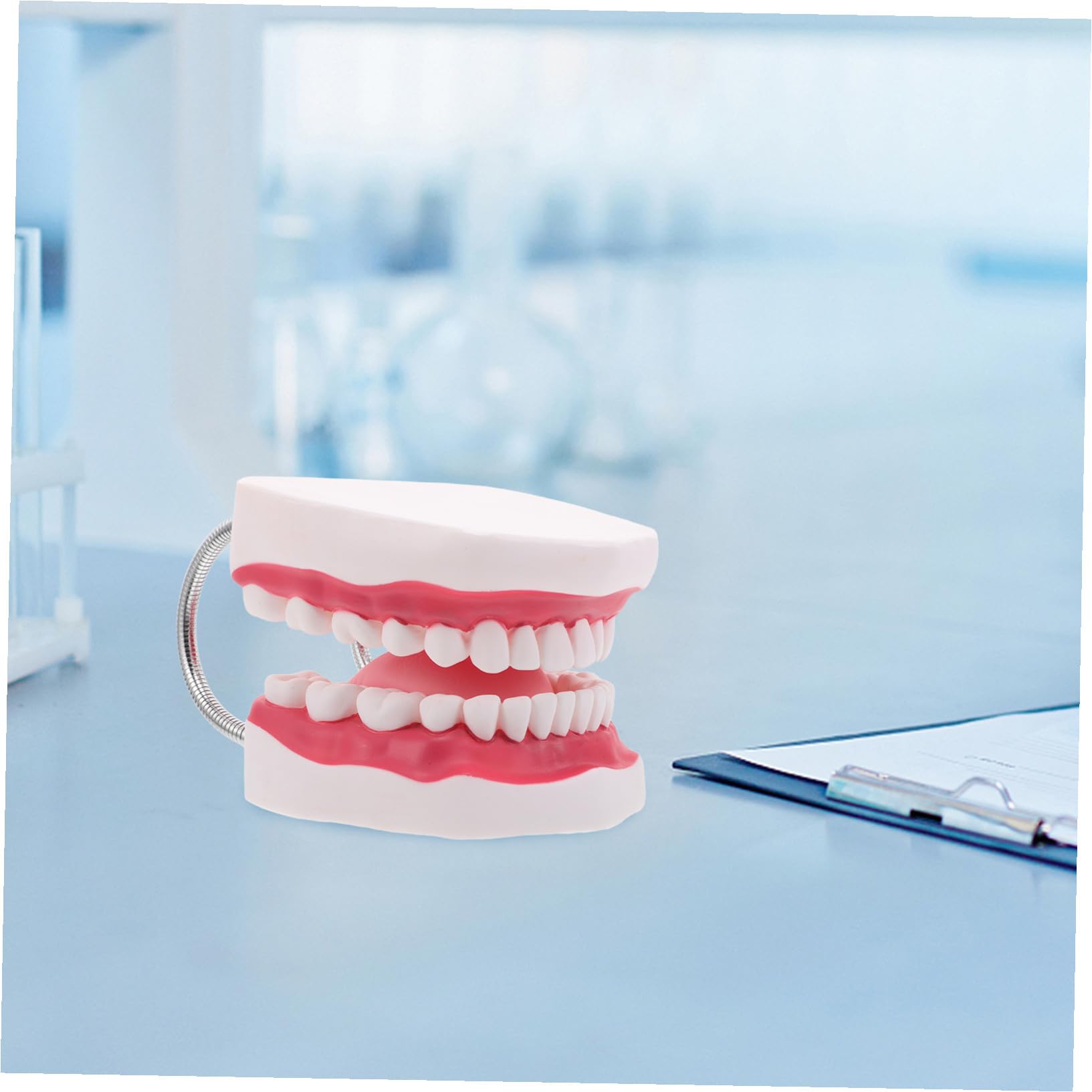 Modello Dentiera Ingrandito Lingua e Gengive per Pratica e Didattica Riproduzione Realistica Bocca Umana Portatile e Resistente per Studio Odontoiatrico e Formazione