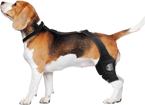 Miniatura 1 de Rodillera para perro  Rodillera para perro para pierna trasera desgarrada del ACL, soportes para piernas de perro para pierna trasera, cómoda y no
