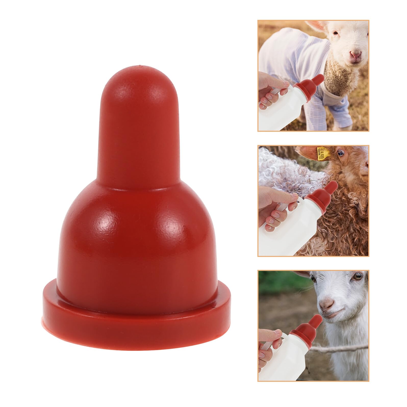 View 8