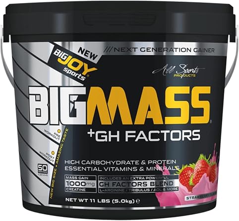 Bigjoy Sport Bigmass Go Gh Factors 5000 gr