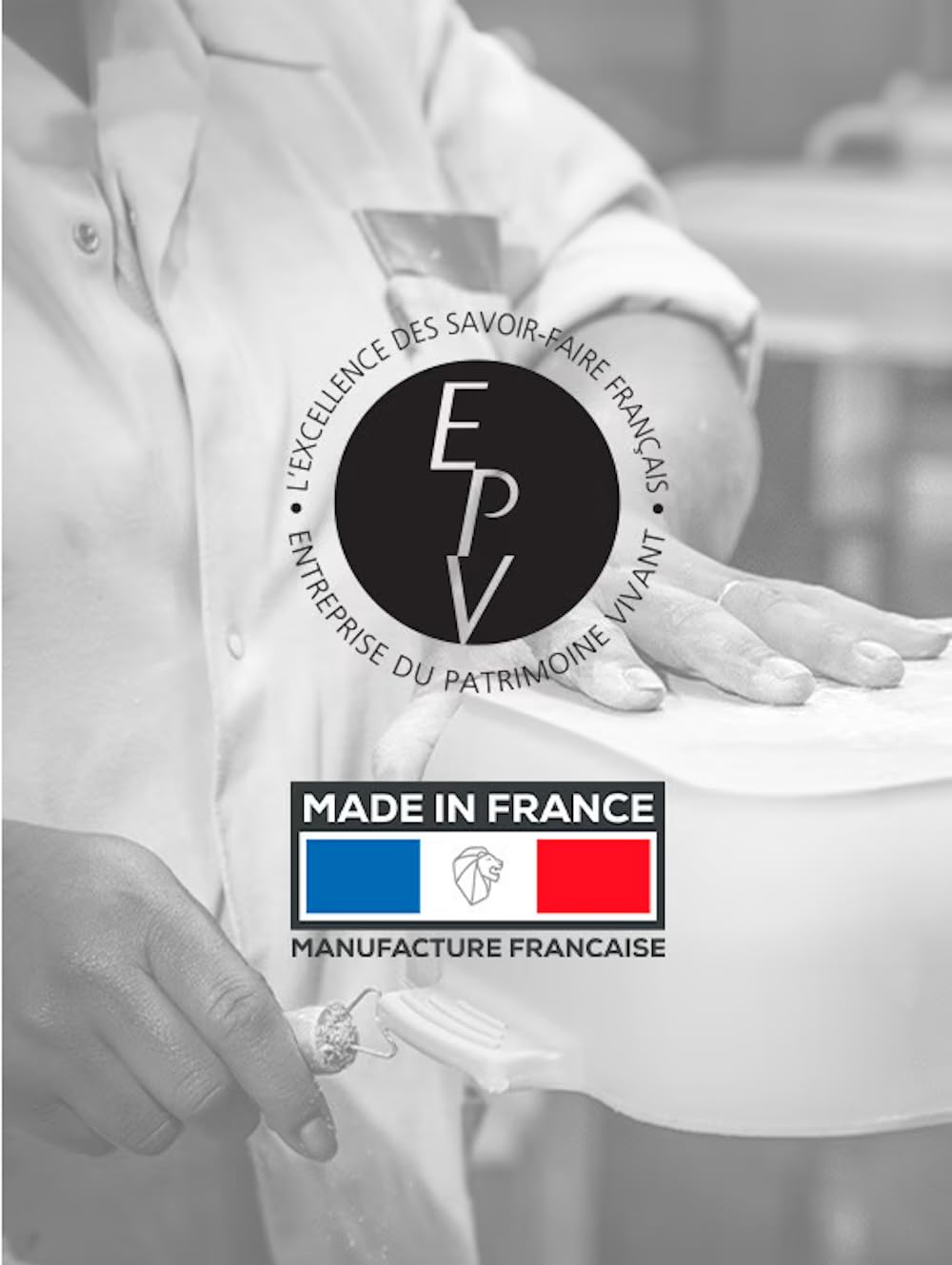 PEUGEOT - Terrine en Céramique avec Presse Appolia - 20 cm x 11 cm x 7,5 cm - Contenance : 0,65 L - Terrine Pour Foie Gras - Garanti 10 Ans - Fabrication Française - Coloris Ardoise