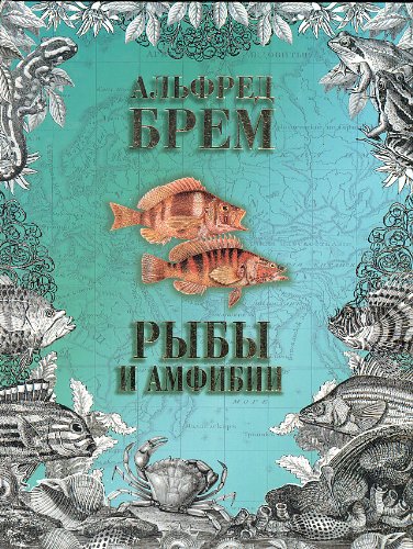 Ribie E Amphibee 5237045065 Book Cover