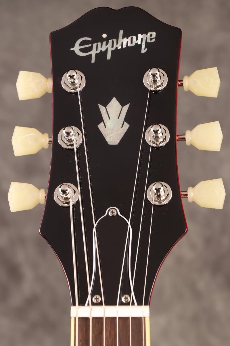 Amazon | Epiphone/Inspired by Gibson ES-335 Figured Block Inlay