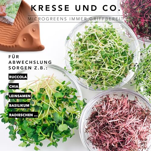 Römertopf Kresseigel aus naturreinem Ton, Kräutertier mit Kressesamen, ca. 24 x 14 cm, Kresseschale für Erde-lose Kressezucht, als Blumentopf nutzbar, spülmaschinengeeignet, ideal für Küche & Kinder