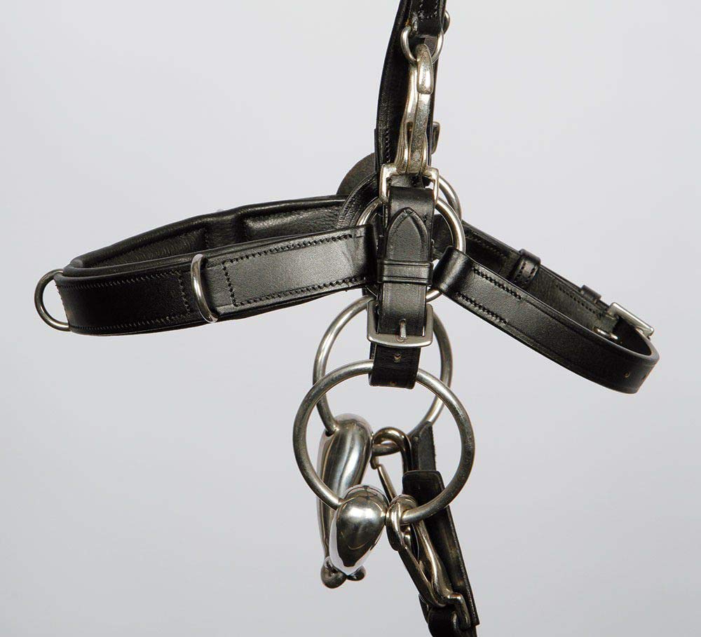 Cavallo in pelle