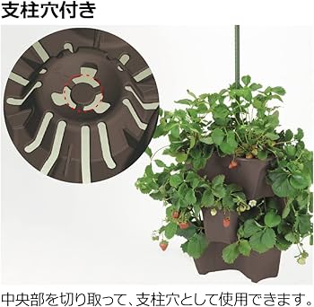 Amazon | リッチェル ハーベリーポット 52型N ダークブラウン | 鉢