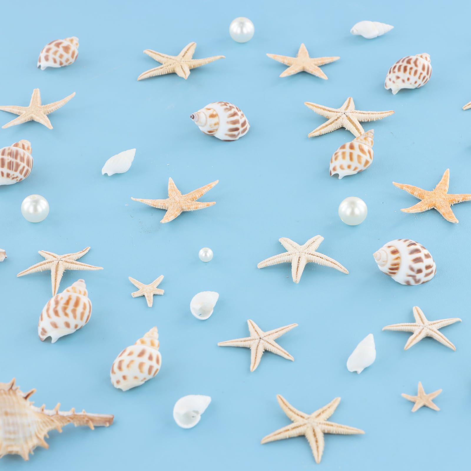 20 PCS Estrellas de Mar Decorativas, Pequeñas y Mini, para Manualidades, Bodas, Playa, Fiestas Temáticas y Decoración del Hogar