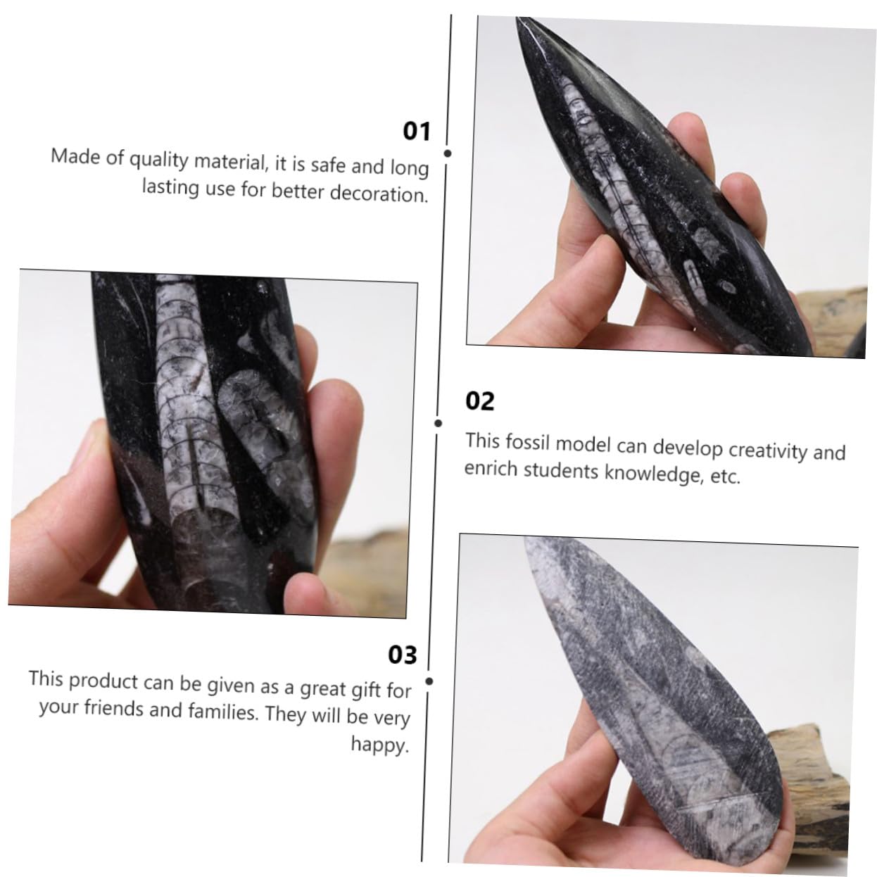 ORFOFE Modelo Fósil de Orthoceras Negro de Mineral para Decoración y Desarrollo Creativo en Laboratorio de Ciencia y Colecciones Paleontológicas para Día del Niño