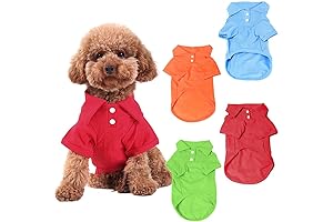 Charming Puppy Outfits for Small Dogs - Eye-Catching Doggie Attire for Boyish Canines