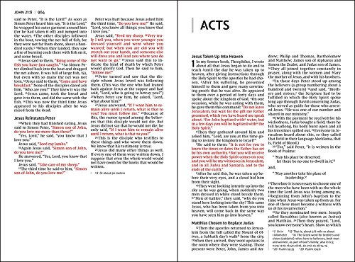 NIV, Outdoorsman Bible, Lost Camo Edition, Leathersoft, Red Letter, Comfort Print: The Field-Ready Cover Blends In but the Words Stand Out with Comfort Print - Image 10