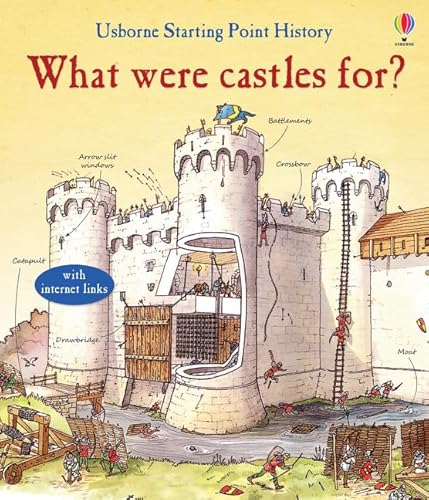 What Were Castles for? (Starting Point History) 1409599787 Book Cover