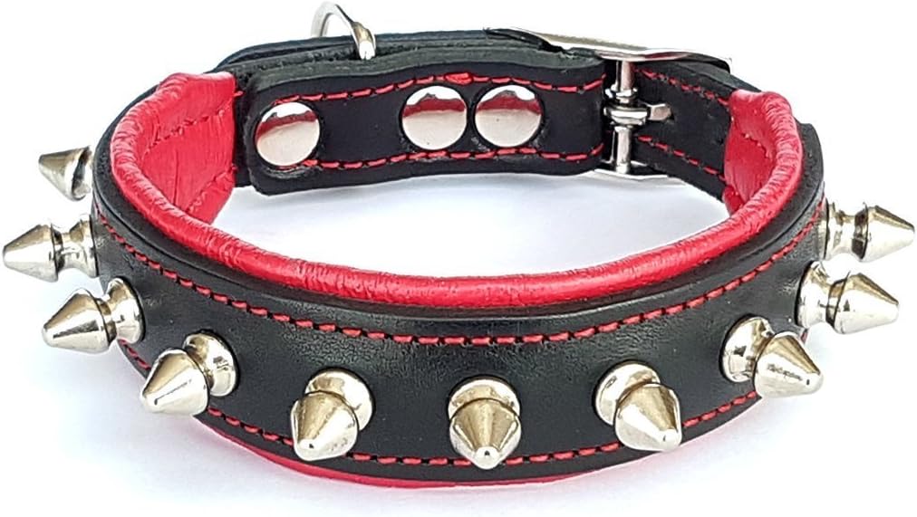 Bestia "Spiky Collar with Blunt Screw Tips. Suitable for Small Dog Breeds or Puppies. 1" Wide Soft Padded Leather Interior & Exterior Handmade in Europe!