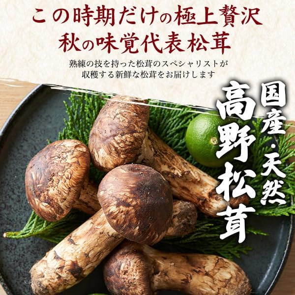 松茸 国産 和歌山県産 ～ 冷凍 天然国産 高野松茸 約200g