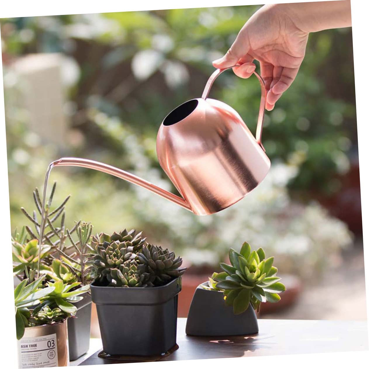 Acciaio Inox Annaffiatoio 500ml Beccuccio da Giardino