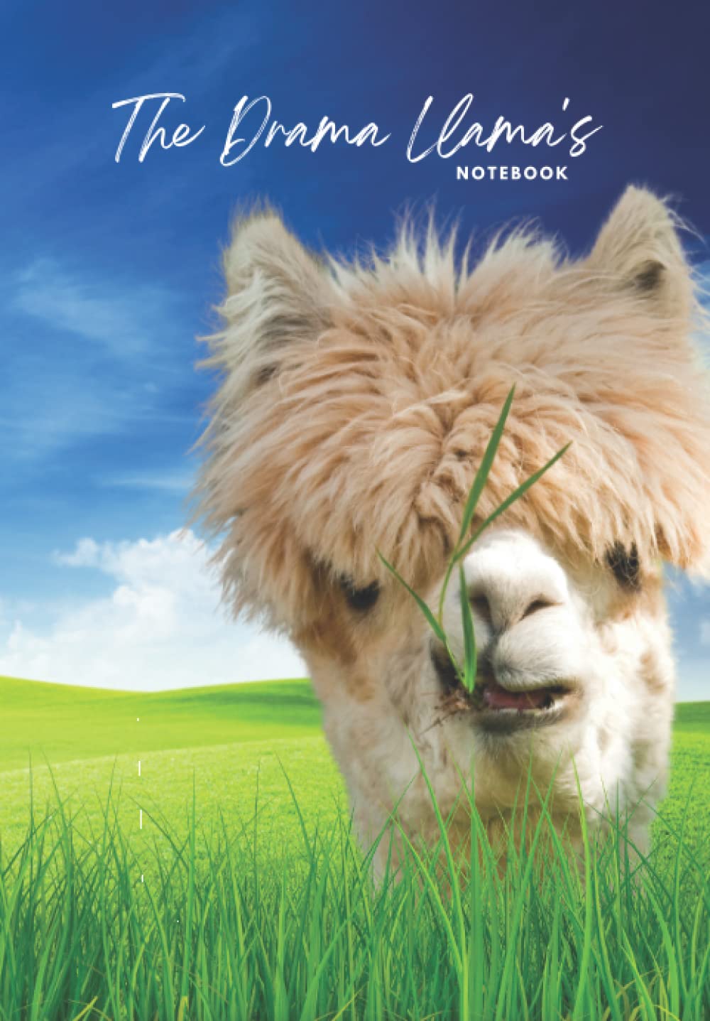 The Drama Llama's Notebook: Perfect notebook for llama lovers and stationery addicts - 120 pages - (6.69” x 9.61”, 16.9cm x 24.4cm) - Design 16 - ... perfect for to-do lists, addresses, notes