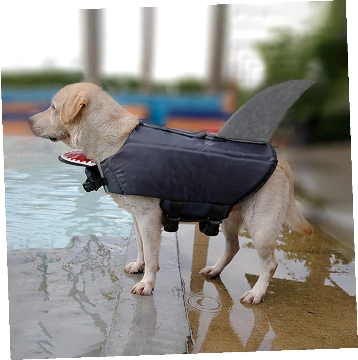 Dog Shark Swim Vest Reflective Waterproof Pet Life Jacket Gray XL for Outdoor Water Training and Boating Safety