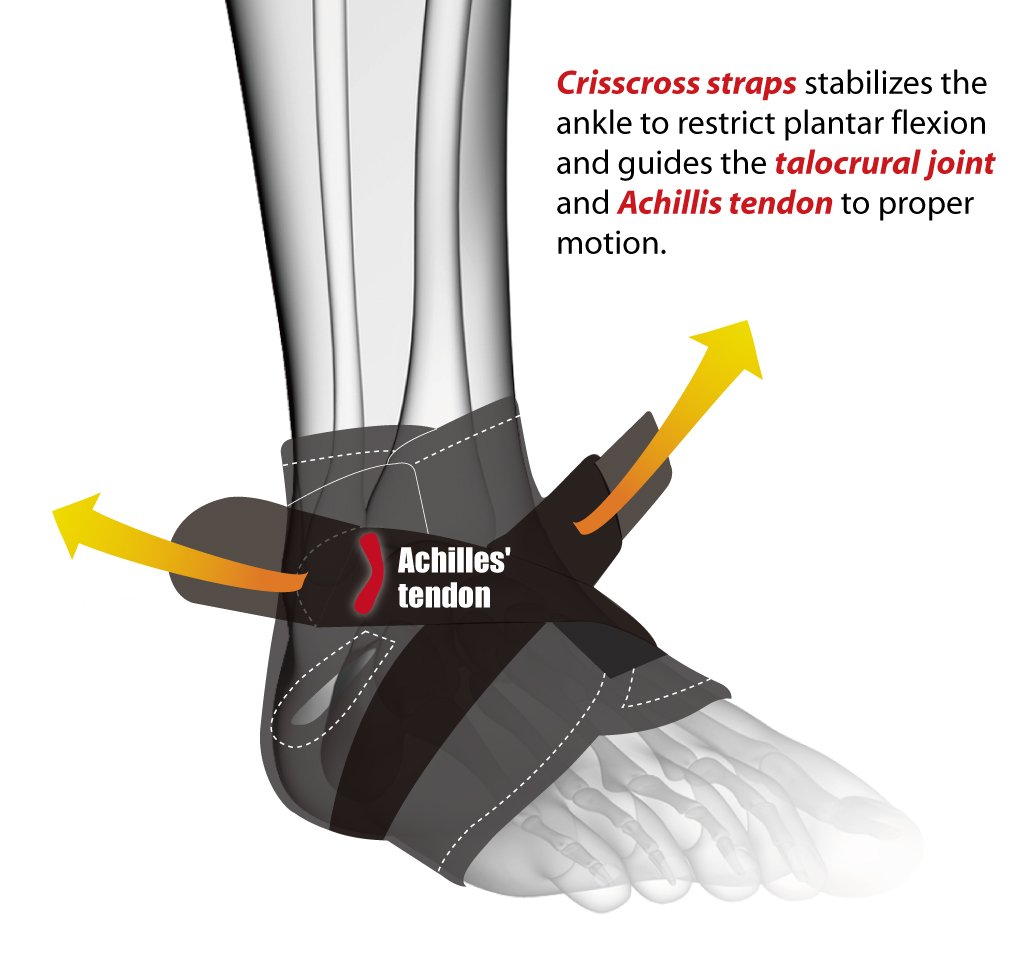 Bracoo FS10 Ankle Support, OpenHeel Ankle Brace with Adjustable Straps