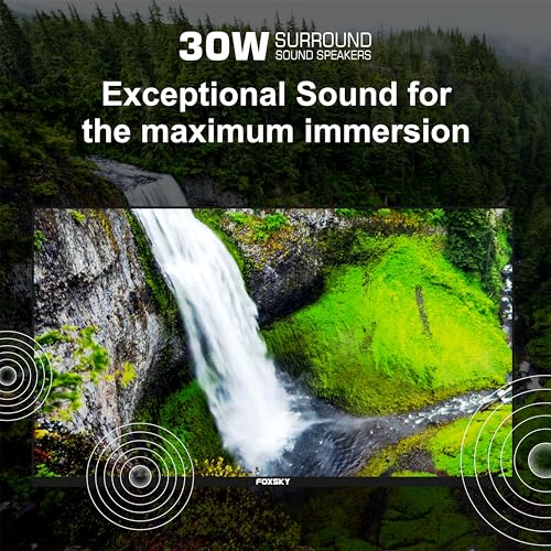 Image of Foxsky 80 cm (32 inches) HD Ready Smart LED TV 32FSELS-PRO (Black)