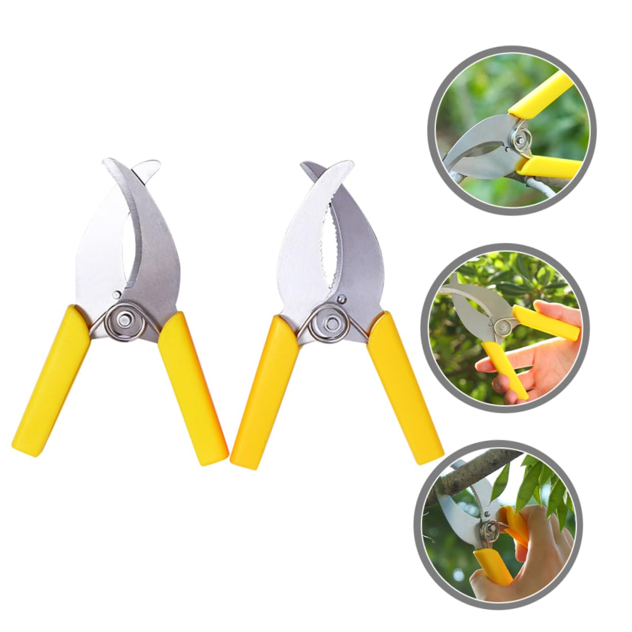 ibasenice 3 Ensembles Outil De Jardinage Inoxydable De Outils De Stripping Pour Arbres Fruitiers Ciseaux De Pruning Antidérapante Pour Entretien Plantes 2 Pièces * 3