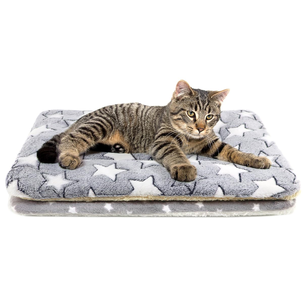 Tierecare 2 Pack Cat Blanket for Indoor Cats Ultra Soft and Warm Calming Cat Bed Fleece Pet Mat for Anxiety and Stress Washable Kitten Blanket