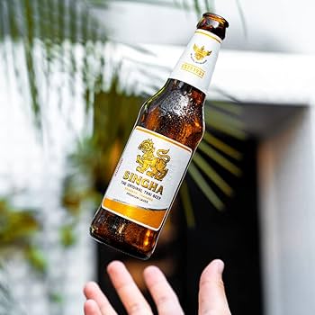 シンハー　ビール48本 シンハー ビール48本 シンハー ビール48本 ビール・発泡酒