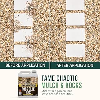 Petra Max Rock Glue for Landscaping, 4 Gal - Wide Coverage & Pet Safe Mulch Glue for Rocks - Lockdown Gravel/Pebbles/Stones - Sticky Clear Gravel Binder & Decomposed Granite Stabilizer (1Gal x4)