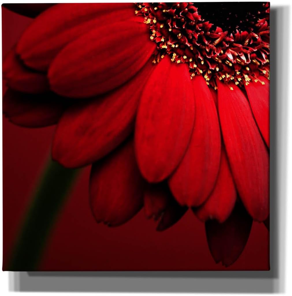 Epic Graffiti 'Red Gerbera on Red 02' by Tom Quartermaine, Canvas Wall Art, 12"x12"
