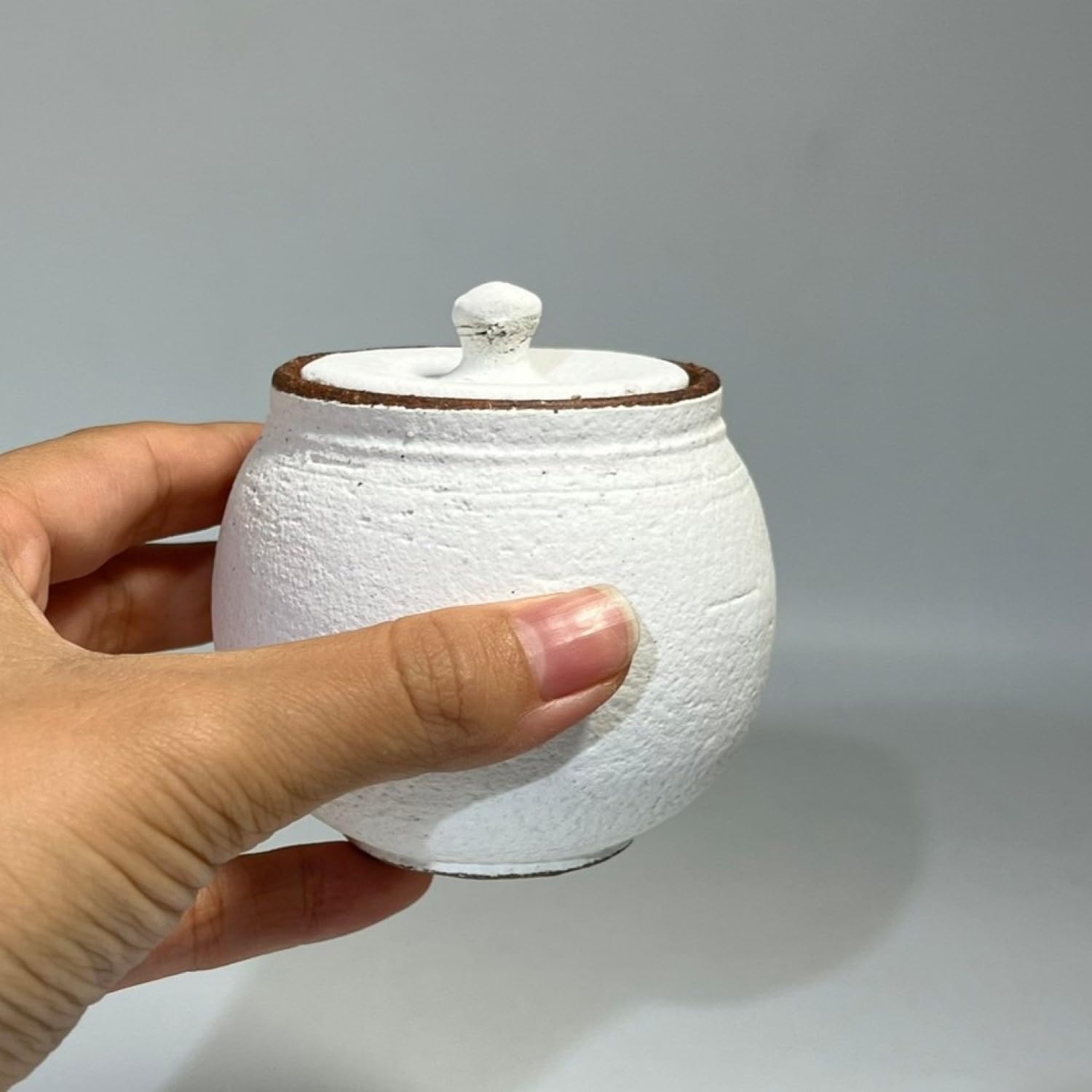 Amazon｜日本陶彩 塩壺（小・白）｜塩・コショウ入れ オンライン通販