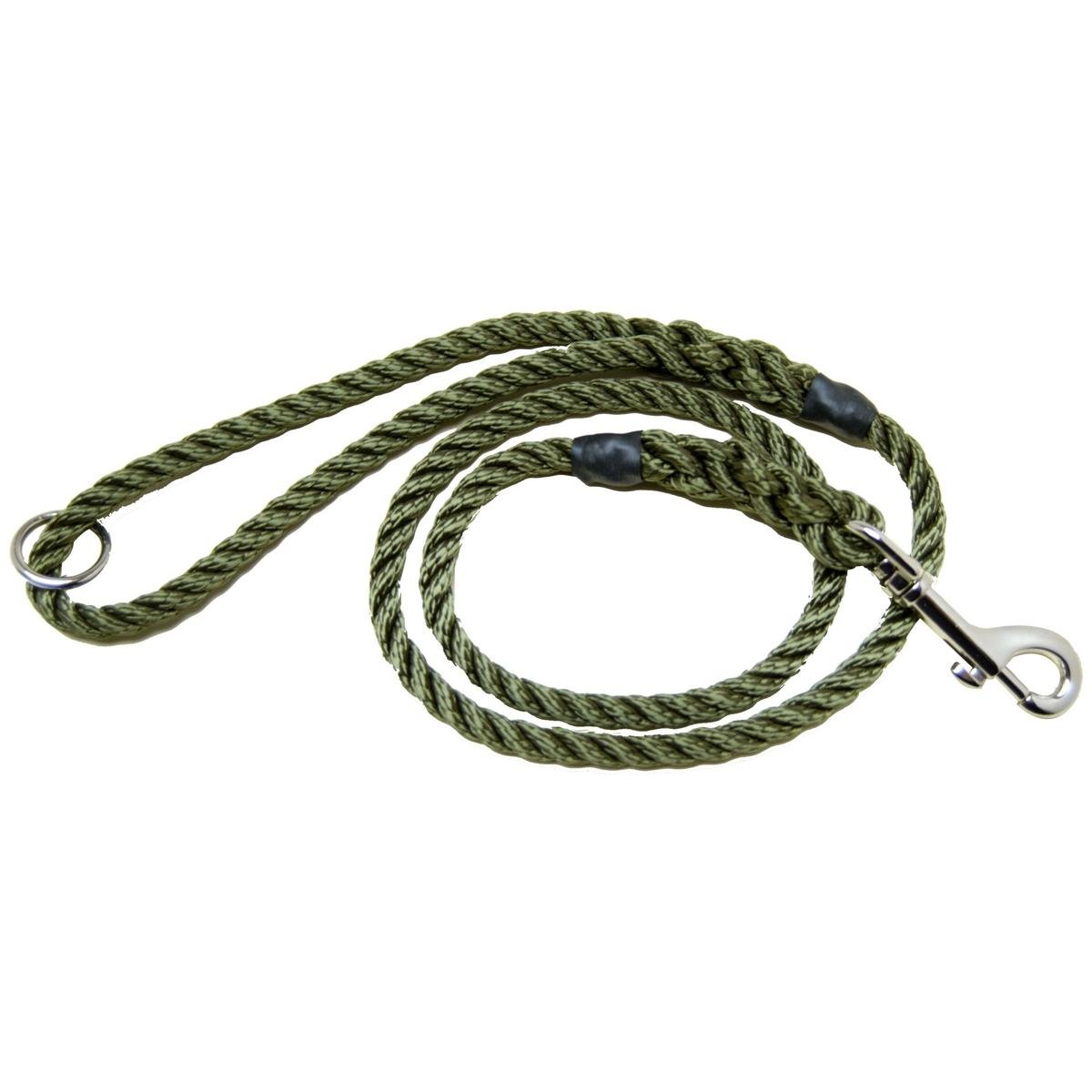 Bisley Clip Ring Dog Lead