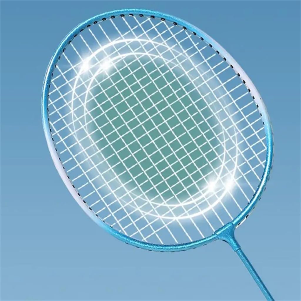 Set Di Racchette Da Badminton Regalo Con Manico A Cuscino, Palla Da Badminton Ammortizzante
