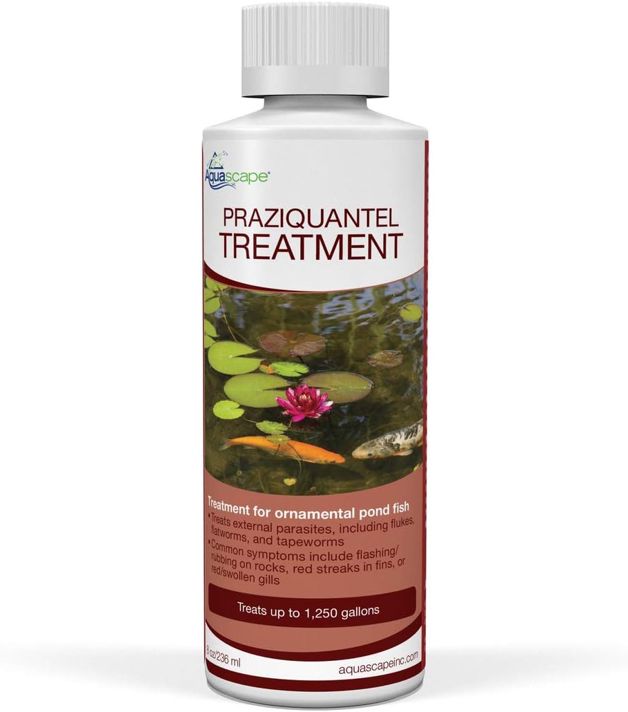 Aquascape 81041 Praziquantel Treatment for Pond Fish, 8 Ounces