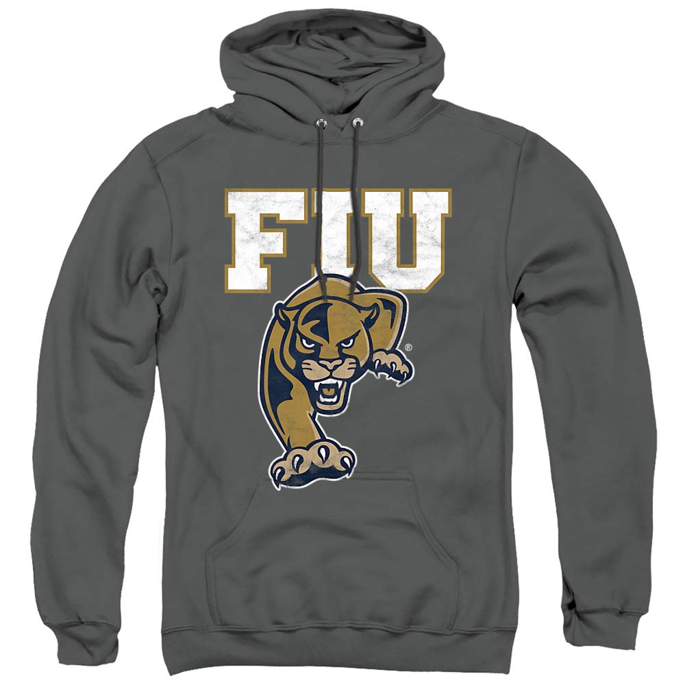 LOGOVISION Official Collegiate Distressed Primary Logo Adult Pullover Hoodie Collection — view 242