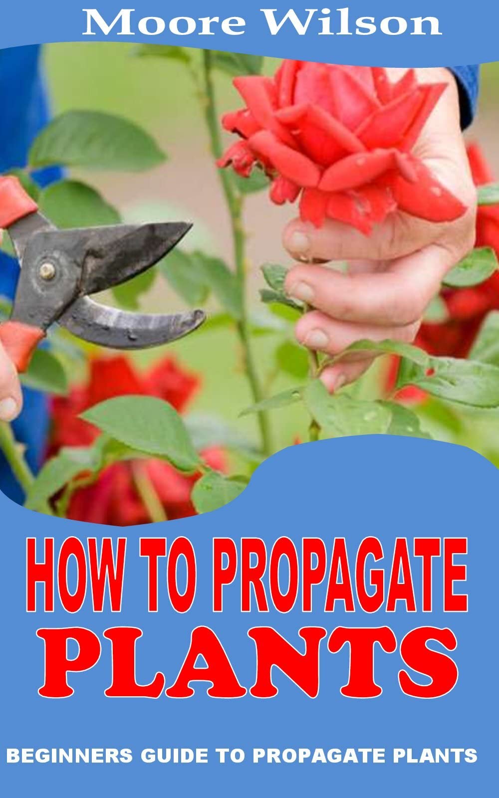 Propagate Learning Buy HOW TO PROPAGATE : Beginners Guide to Propagate s Online at ...