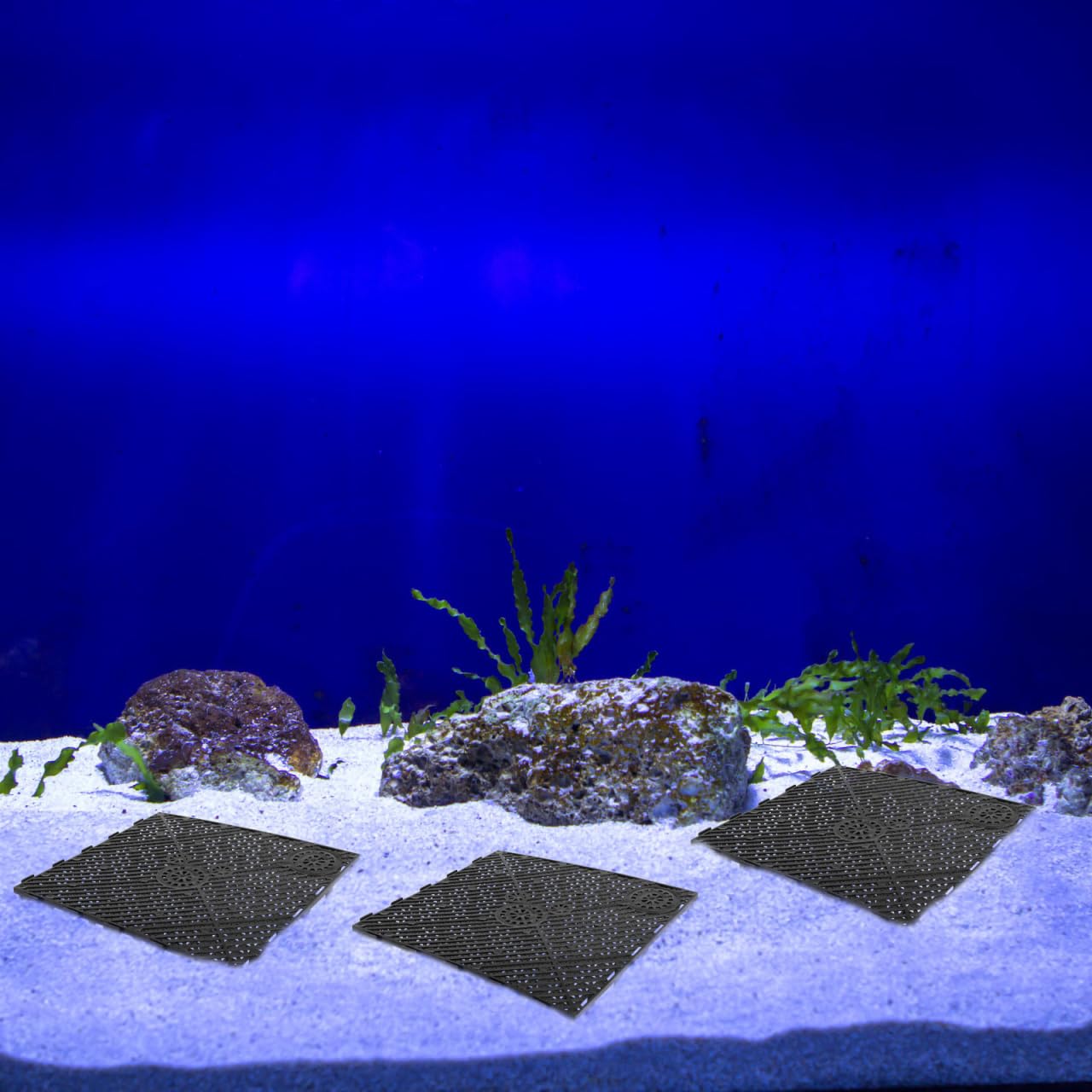 Yardwe 20 Fischbecken mit Trennwand Fischbehälter Eierkiste Fischbehälter Bodenfilter PVC Bodenfilterplatte kunststoffreiniger Schwammhalter untere Filterplatte PVC-Filterplatte eben