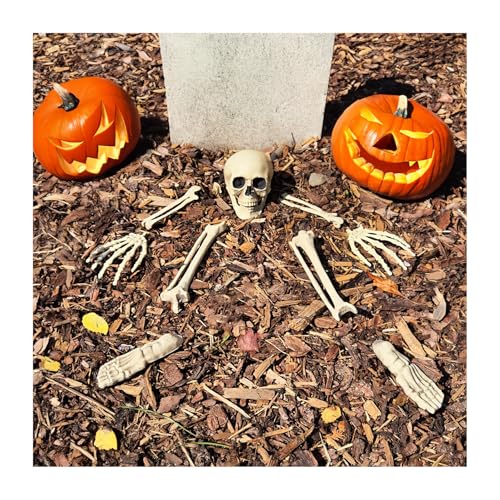 com-four Conjunto de ossos de 9 peças - decoração de Halloween - esqueleto humano parcial em partes - ossos artificiais como decoração anatómica para festas (conjunto de ossos de 9 peças)