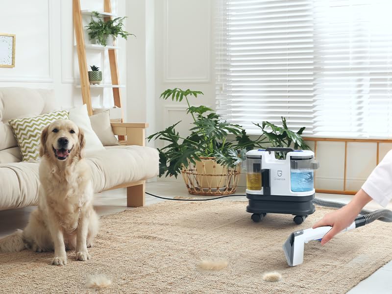 Greenote Halı/Koltuk Yıkama Makinesi ve Spot Temizleyici – Sofa, Halı ve Araç İçin Uygun, Güçlü Islak/Kuru Vakum, 1.8 L Su Tankı, Tekerlekli Tasarım