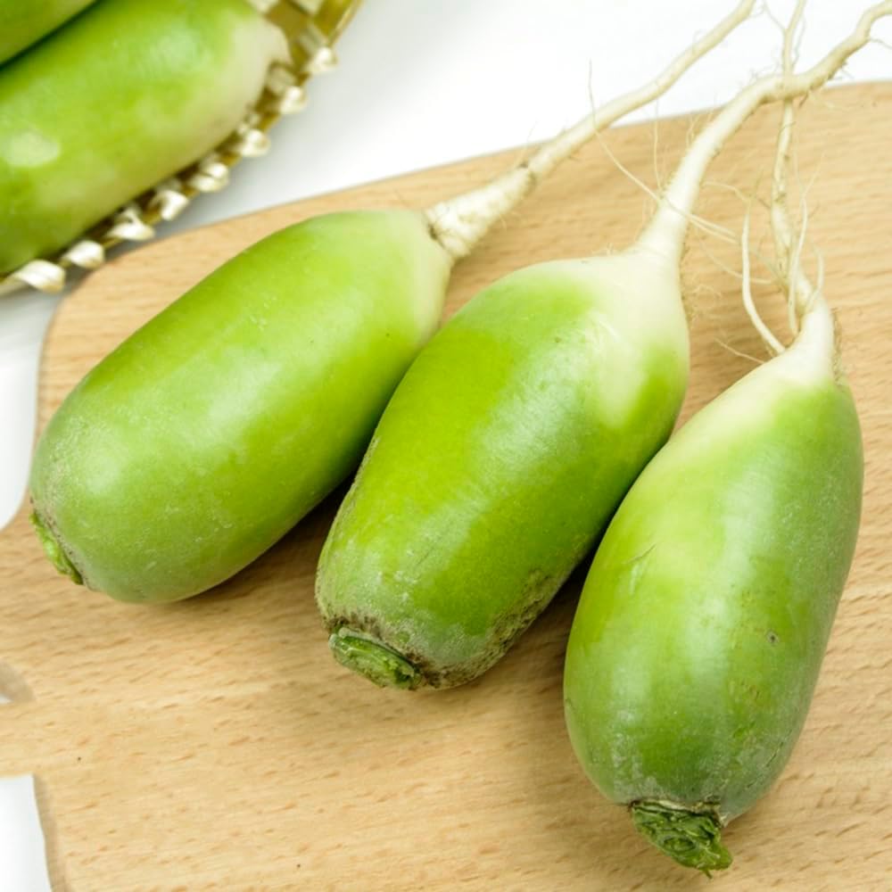 300 pcs radieschen samen Raphanus sativus exotische pflanzen