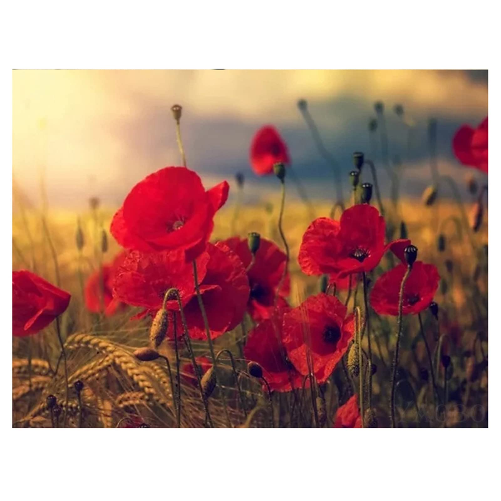 Kit Diamond Painting Papavero 30x40 Cm - Pittura Con Diamanti 5D Fai Da Te Per Decorazione Casa - Foto 2