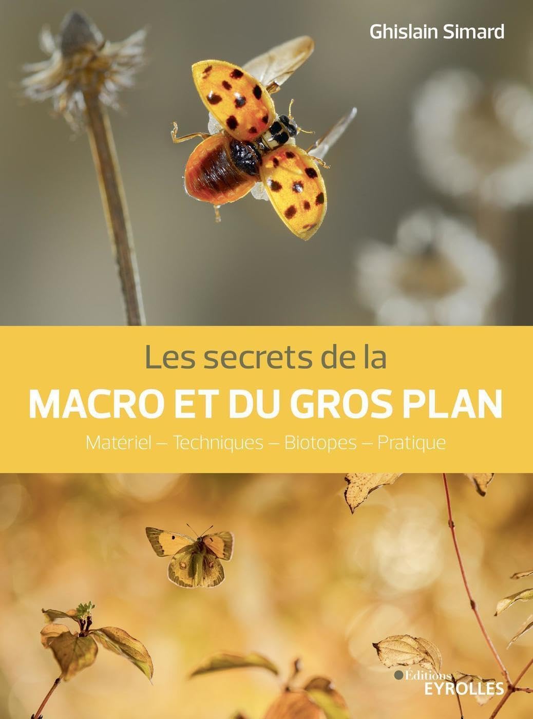 Macro et gros plan manuel pratique pour réussir vos photos de nature nettes