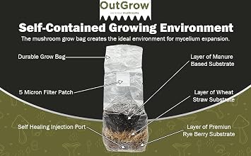 All in One Mushroom Grow Bag (2 Pack)