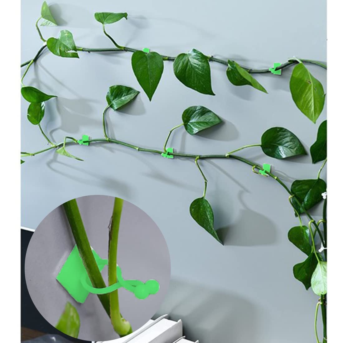 EAYIRA 30Pcs Plant Climbing Wall Clips | Plant Support Garden Clip | Plant Clips for Climbers | Self Adhesive Plant Vine Backed Twist Clips Plant Wall Clips Plant Support Binding Clip (B09Y8QBD3P) Amazon Price History, Amazon Price Tracker