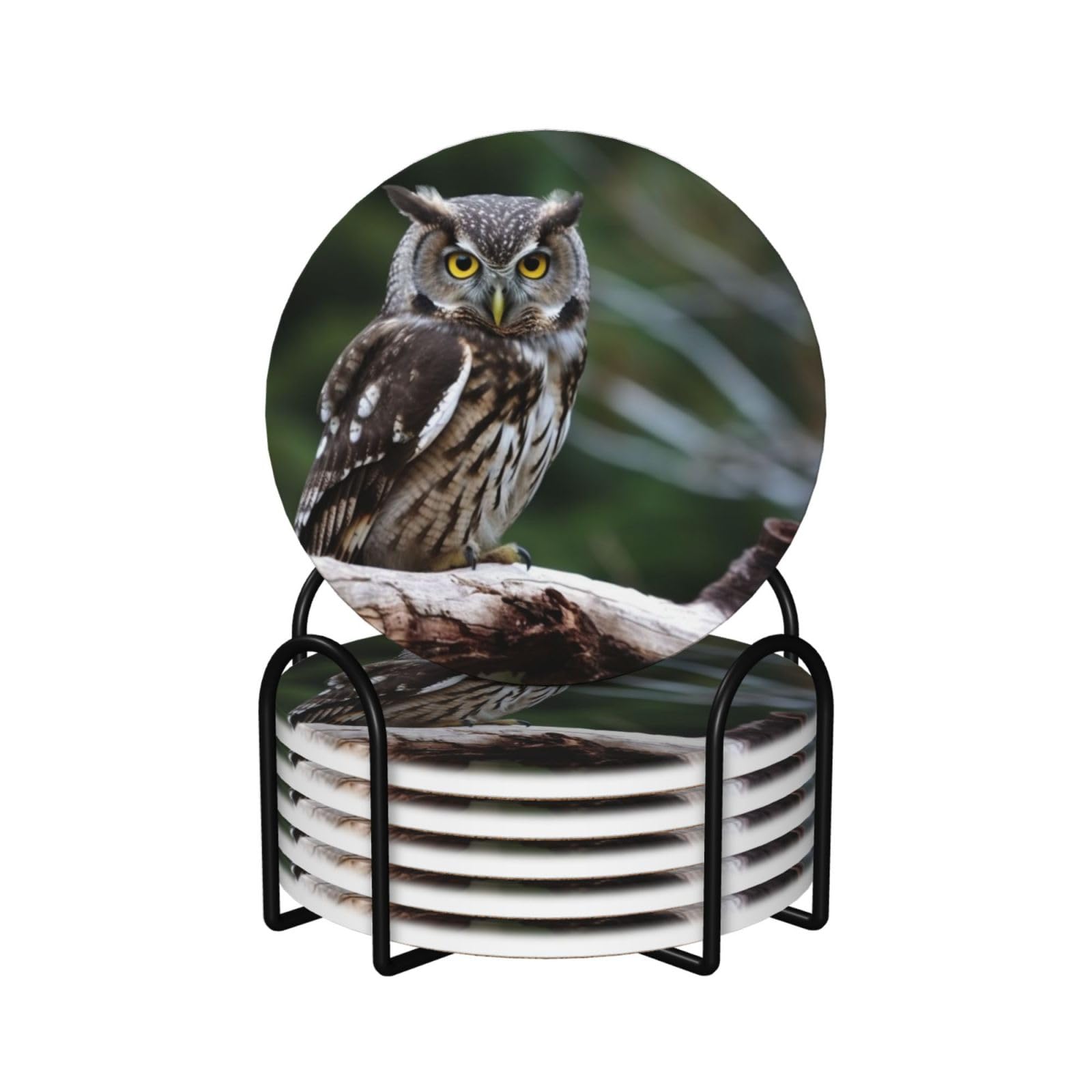 6Pcs Ceramics Coaster for Drinks, Wild Owl Birds Cup Coasters with Holder, Aesthetic Drink Coasters for Coffee Table, Absorbent Round Coaster for Tabletop Protection 4" Cup Mat Pad