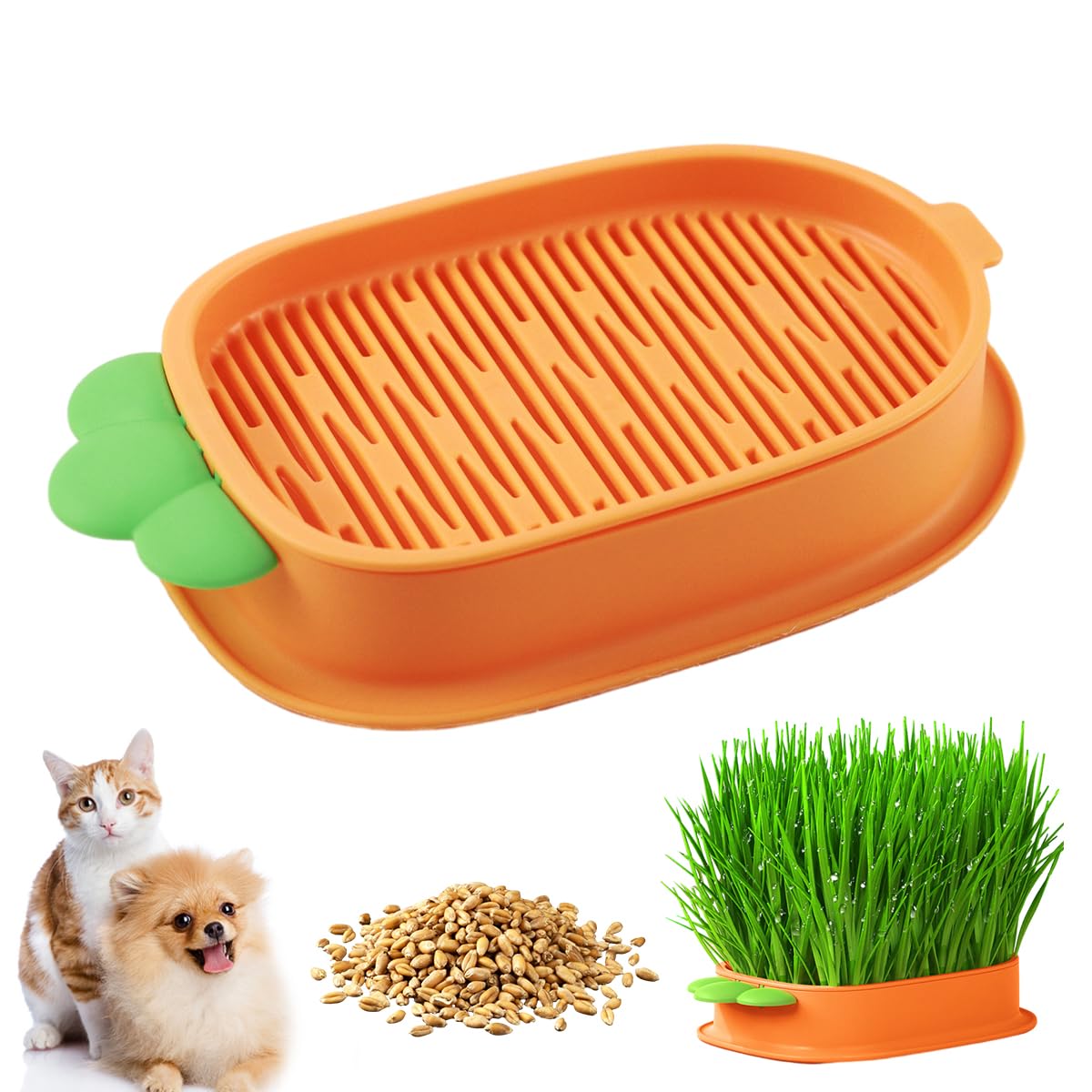 Suevut Cat Grass Planter, Cuddles and Meow Cat Grass Grower, Kit de Maceta para Hierba Gatera con Semillas, Caja hidropónica de Hierba, jApto para Todos los Gatos