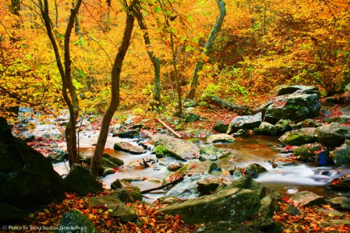National Geographic Secrets of the National Parks: The Experts' Guide to the Best Experiences Beyon