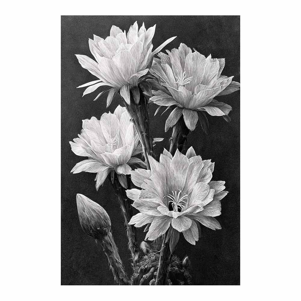 HOQIU Black And White Prints Monochrome Cactus Flower canvas wall art, painting and decor, for Living Room Bedroom Home Decoration(Multicolor)-80x120cm Unframed