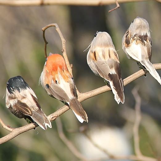 Amazon Rrapo Maitak 小鳥 造形 バーディ スパロー 鳥おもちゃ 模擬鳥 動物模型 飾り 小道具 インテリア飾り 部屋 生き生き 可愛い 生きているような ギフト パーティー用品 色ランダム 置物 オブジェ オンライン通販 Amazon Rrapo Maitak 小鳥 造形 バーディ スパロー 鳥おもちゃ 模擬鳥 動物模型 飾り 小道具 インテリア飾り 部屋 生き生き 可愛い 生きているような ギフト パーティー用品 色ランダム 置物 オブジェ オンライン通販