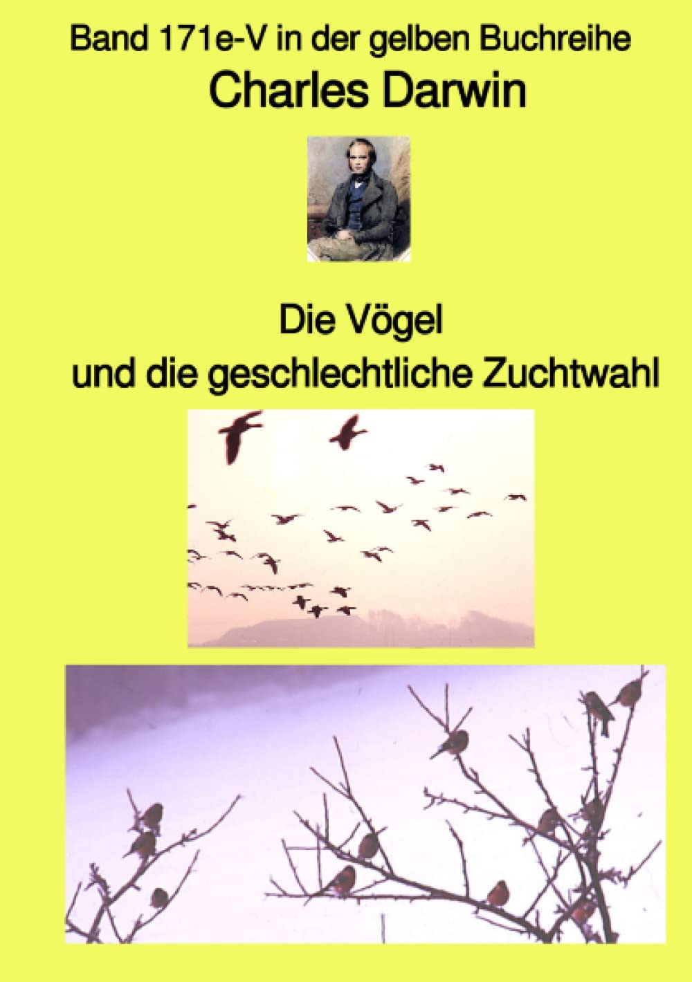 Die Vögel und die geschlechtliche Zuchtwahl – Band 171e-V in der gelben Buchreihe bei Jürgen Ruszkowski: Band 171e-V in der gelben Buchreihe (German