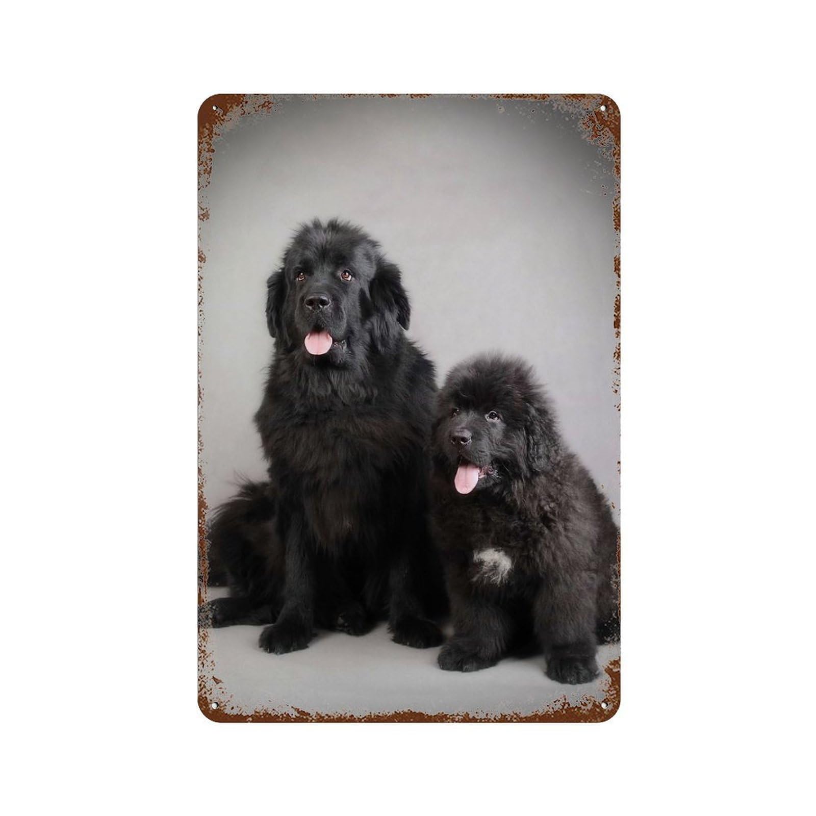 Newfoundland Dogs Weathered Tin Sign 11.8"x7.9", Ideal for Basement, Hobby Room And Garage Decor