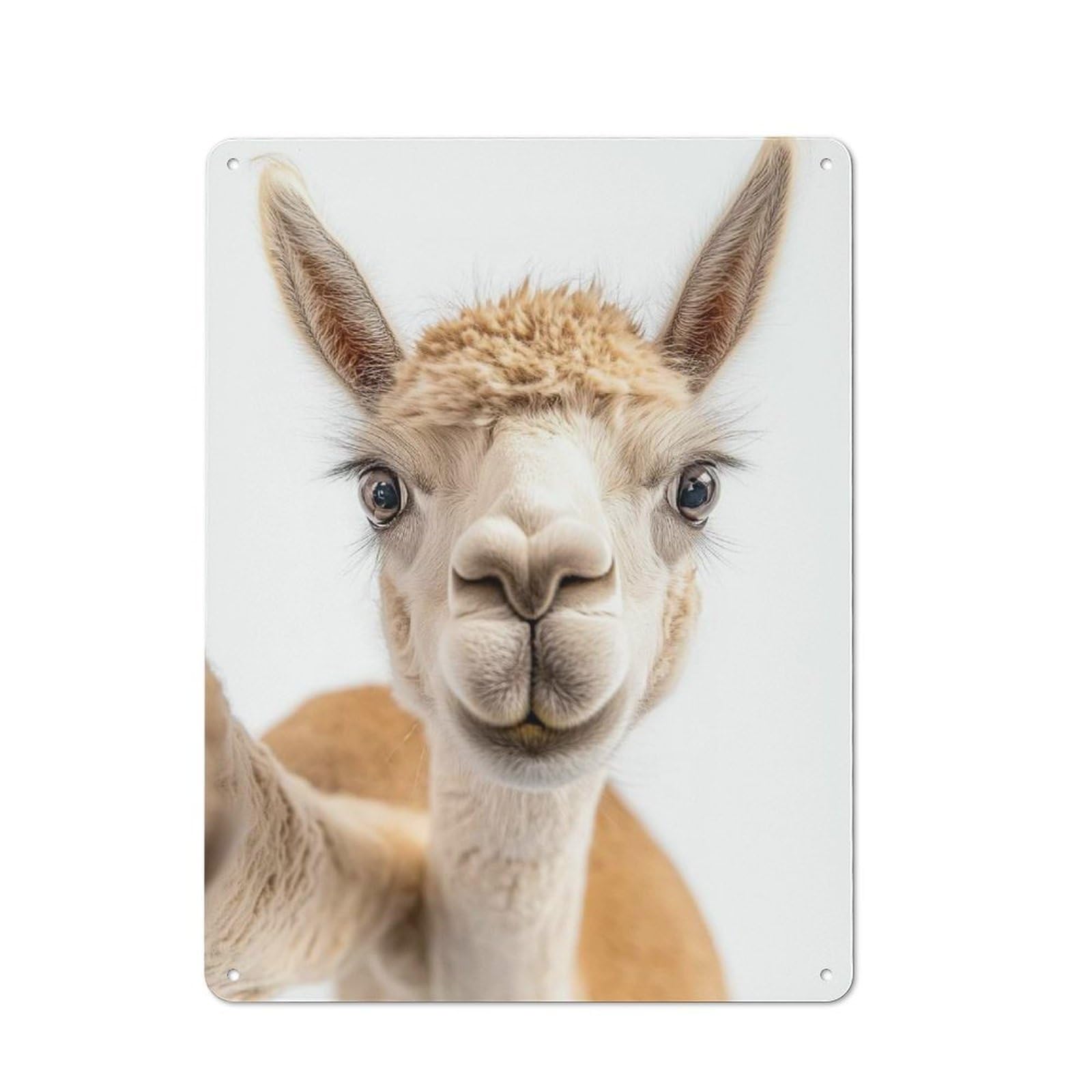 A Funny Alpaca Taking A Selfie Cottage Style Metal Wall Decor 40x30cm, Farmhouse Metal Sign for Farmhouse Kitchen, Pantry Or Dining Area